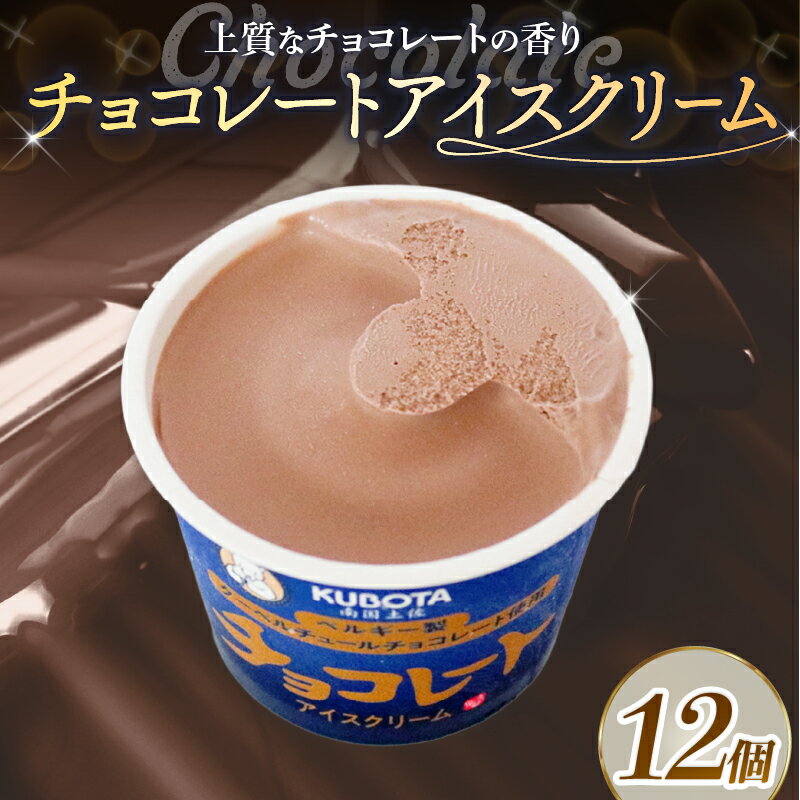 【ふるさと納税】 チョコレート アイスクリーム 110ml 12個 アイスクリーム チョコレート チョコ カカオ チョコアイス カップアイス 人気 大容量 有名 アイスセット 詰め合わせ スイーツ ジェラート 久保田食品 高知県 南国市