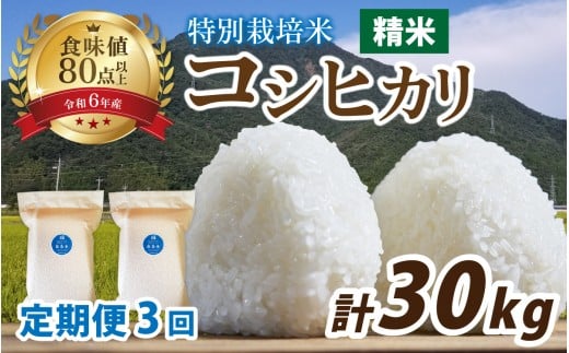 【3ヶ月連続お届け】【令和7年産】南条米 特別栽培米コシヒカリ 精米 真空パック 10kg(5kg×2袋)×3ヶ月 (計30kg)｜ お米の定期便