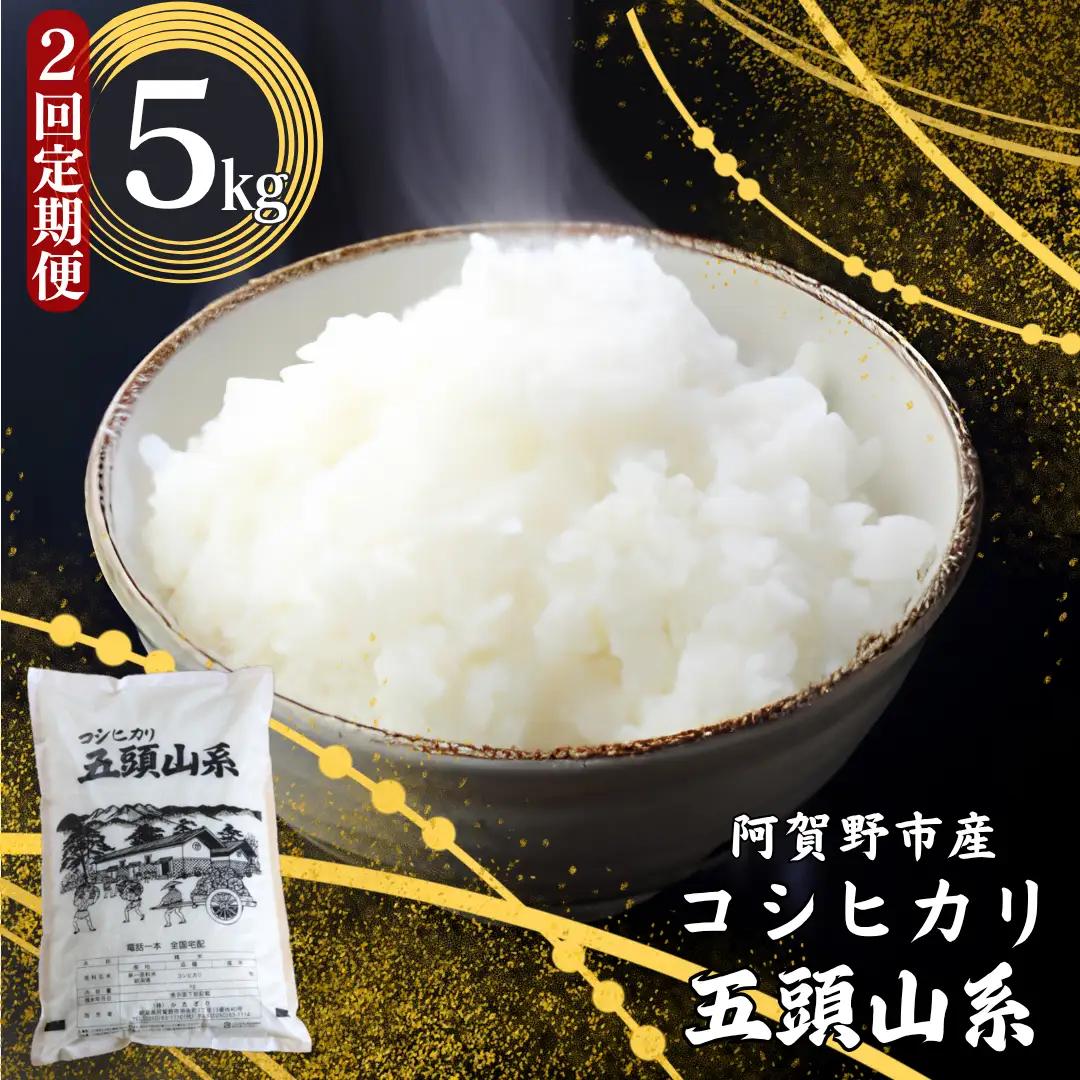 【令和7年産】【2回定期便】「米屋のこだわり阿賀野市産」コシヒカリ 5kg×2回 新潟県 米 こめ コメ 白米 精米 1E05021