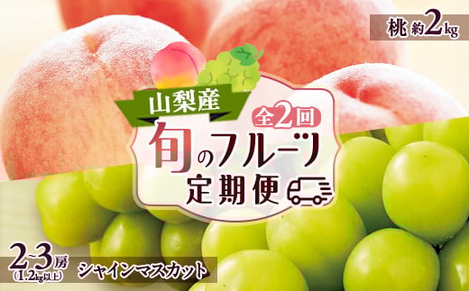 
            ＜発送月固定定期便＞山梨市フルーツ定期便(桃・シャインマスカット)全2回【4006310】
          