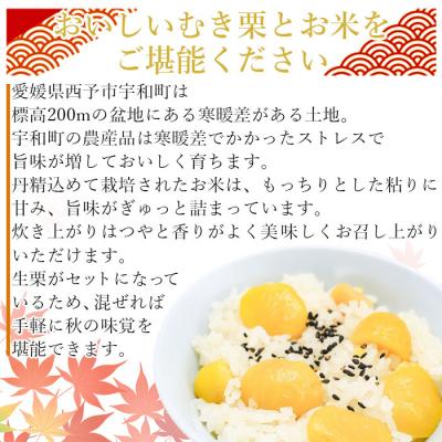 ふるさと納税 西予市 愛媛県西予市産　栗ご飯セット(生栗1.5kg・コシヒカリ2kg) |  | 02
