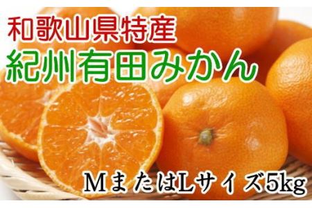 果物 くだもの フルーツ 蜜柑 みかん / [秀品]和歌山有田みかん　5kg(MサイズまたはLサイズのいずれか) ※2024年11月中旬～1月中旬頃順次発送予定（お届け日指定不可）【tec834】