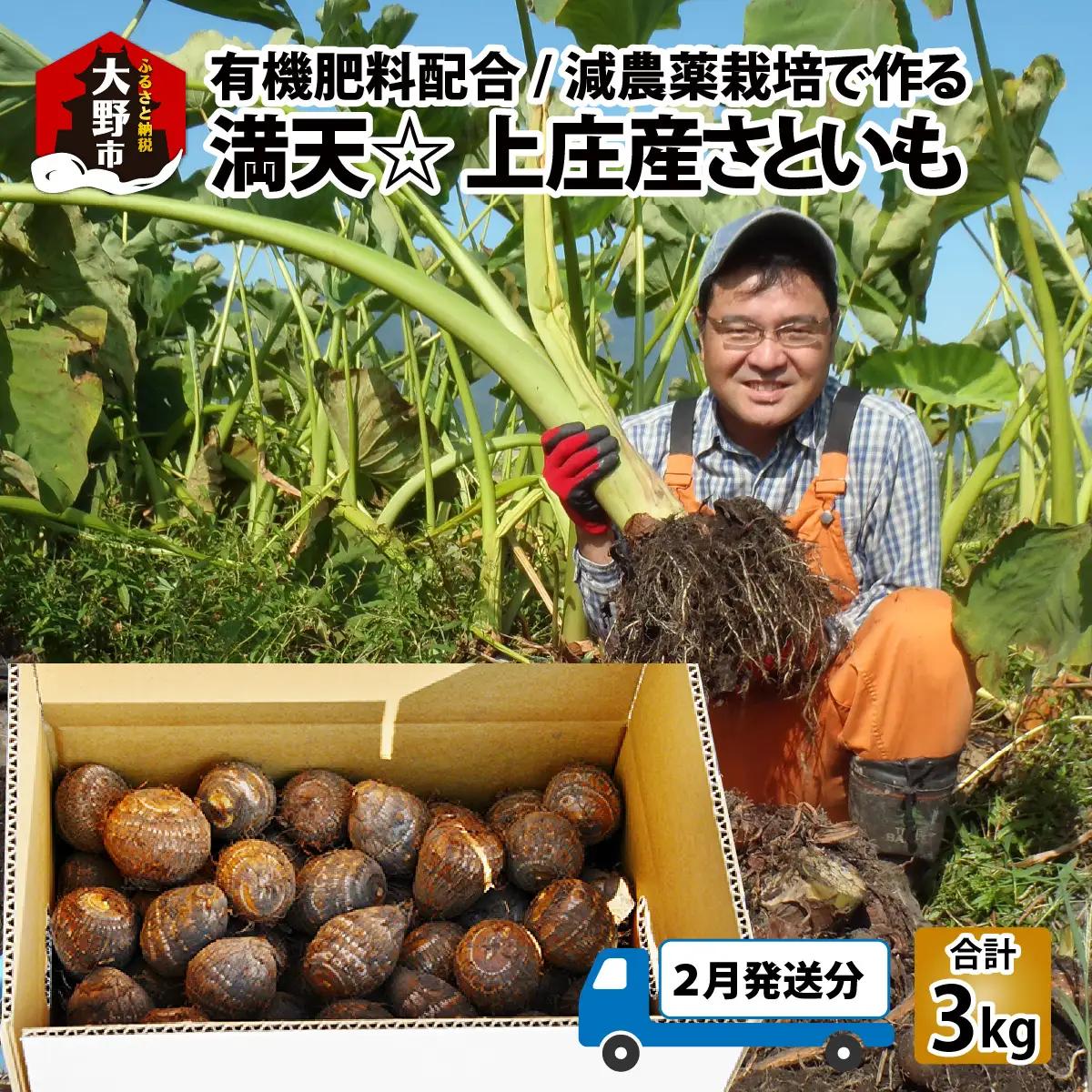 【先行予約】【2月発送分】上庄産さといも3kg 有機肥料配合 減農薬栽培 [A-005007_04]