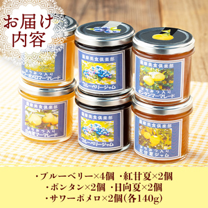 isa553 《数量限定》5種のバラエティージャム食べ比べセット(計12個・ブルーベリー×4、トマト×2、ボンタン×2、サワーポメロ×2、日向夏×2)【薩摩美食倶楽部】