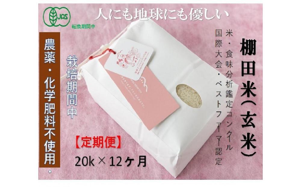 【12ヶ月定期便】魚沼コシヒカリ　苗場プリンセス・プレミアム　有機JAS認証米　玄米（20kg）×12回　合計240kg127523-066