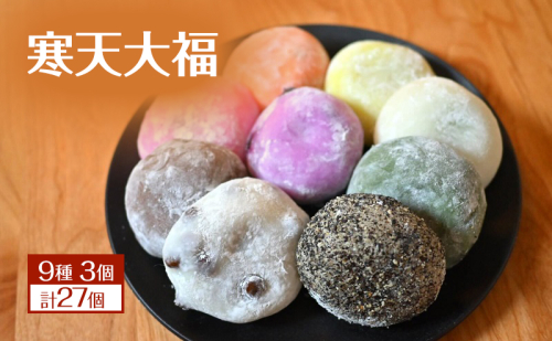 【TVで紹介されました】寒天大福9種3個 計27個 詰め合わせ キメが細かくなめらかな食感 寒天使用で食物繊維豊富・低カロリー 大福餅・和菓子セット 冷凍 長野名物 スイーツ おやつに