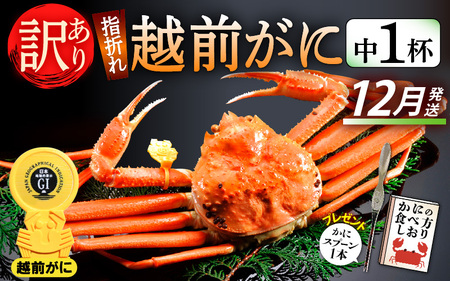 【訳あり】≪浜茹で≫指折れ 越前がに（中） × 1杯 【12月発送分】 食べ方しおり かにスプーン付き【雄 ズワイガニ ずわいがに 越前ガニ 姿 ボイル 冷蔵 福井県】希望日指定可 備考欄に希望日をご記入ください [e15-x003_12]