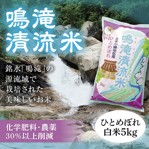 D334【ふるさと納税】鳴滝清流米白米5kg