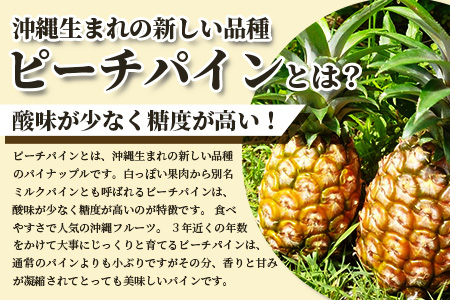 希少！濃厚！「枝先完熟・てのひらピーチパイン」2024年4月～7月順次発送【産地直送 沖縄県 石垣島 農家直送 パイン フルーツ】OI-2