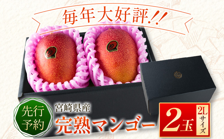 ＜先行予約＞宮崎県産 完熟マンゴー2Lサイズ2玉 国産 数量限定 人気 くだもの 【B510-25】