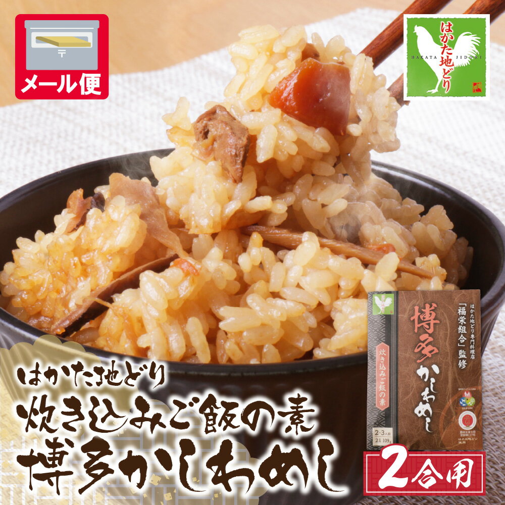 【ふるさと納税】炊き込みご飯の素 博多かしわめし 2～3人前 (2合用 109g) 福岡県 はかた地どり おにぎり お弁当 お試し メール便 送料無料 U56-05