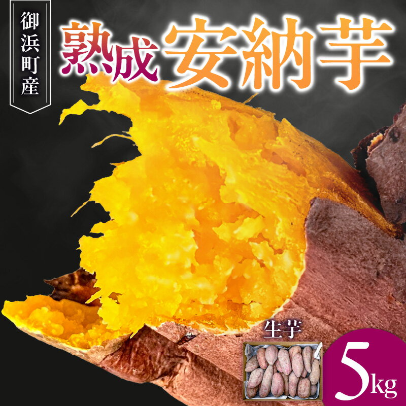 【ふるさと納税】ブライトライフ 熟成安納芋 5kg (生芋)【甘くて美味しい安納芋！】