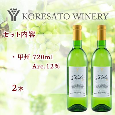 ふるさと納税 赤磐市 是里 ワイン 果実酒 甲州 720ml  2本[NO5765-1261] |  | 01