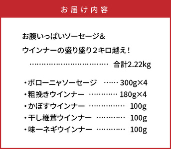 29199A_お腹いっぱいソーセージ＆ウインナーの盛り盛り２キロ越え！・通