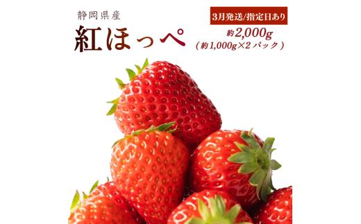【3月発送/指定日対応】 紅ほっぺ 2000g以上 いちご 1000g×2パック イチゴ 冷蔵発送 苺 2kg 土耕栽培 フルーツ 果物 スイーツ デザート朝摘み ストロベリー おやつ 完熟 直送 ギフト 家庭用 贈答用 贈答 ギフト 贈り物 甘い ブランド ジャム アレンジ フルーツサンド 農家直送 ベリー 産地直送 国産 おすすめ 森木農園 静岡県 牧之原市 ~土耕栽培だから濃くて甘い!~