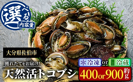 
                  ＜内容量・配送方法(冷凍・冷蔵)が選べる＞ 天然 トコブシ (約400g・約900g) 鮮魚 魚介 貝 トコブシ とこぶし 酒蒸し 網焼き バター焼き バーベキュー 獲れたて 冷凍 冷蔵 海の直売所 大分県 佐伯市 魚貝 殻付【AS107・AS82・AS149・AS150】【海べ】
                