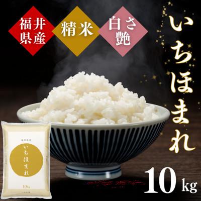 ふるさと納税 小浜市 令和7年産　福井県産いちほまれ白米10kg　福井生まれの新ブランド米