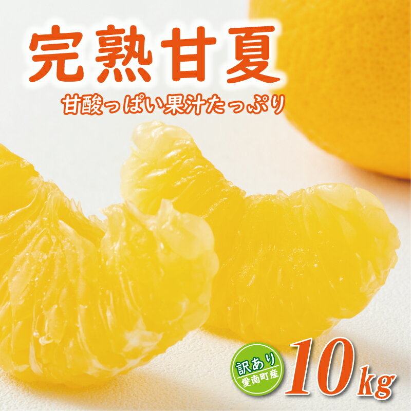【ふるさと納税】 【高評価★4.7】 訳あり 完熟 甘夏 10kg 7000円 樹齢25年 以上 みかん 愛媛 ミカン mikan 蜜柑 わけあり あまなつ 夏みかん だいだい 国産 減農薬 期間限定 数量限定 人気 おいしい 小玉 含む フルーツ 果物 柑橘 規格外 くらもとファーム 愛南町 愛媛県