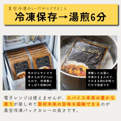 発酵スパイスカレー6個 ★白山麓のW発酵とスパイス5種  クセになる旨辛 グルテンフリー＆無添加【配送不可地域：離島】
