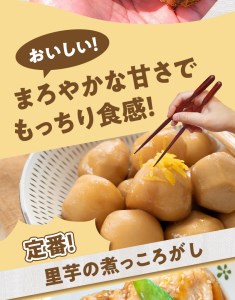 【W042-001u】【先行受付】農家直送！栽培歴40年！南の島の赤土里芋1.5キロ！ 【5月上旬～6月下旬】