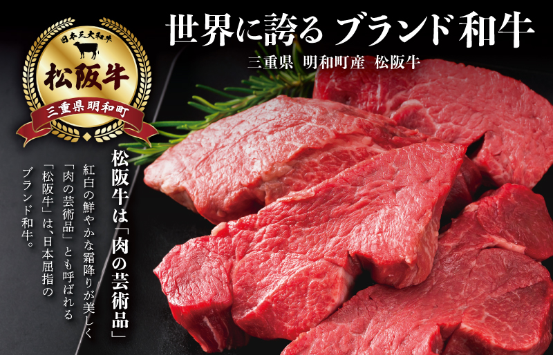 S10　松阪牛ヒレ焼肉用500g