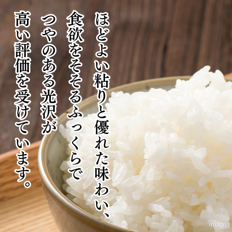 【新米】令和7年産 佐賀県産「夢しずく」5kg お米 コメ こめ：B140-113_イメージ3