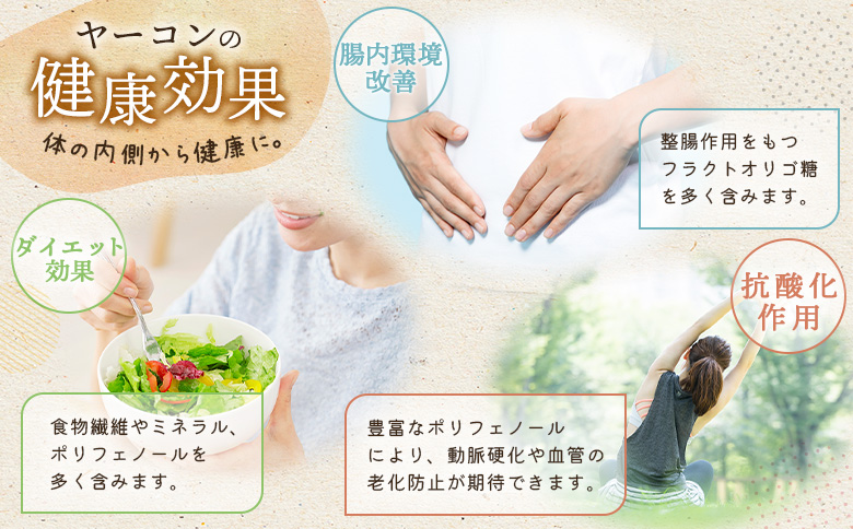 【北海道恵庭市産】余湖農園のヤーコン4kg【310014】_イメージ3