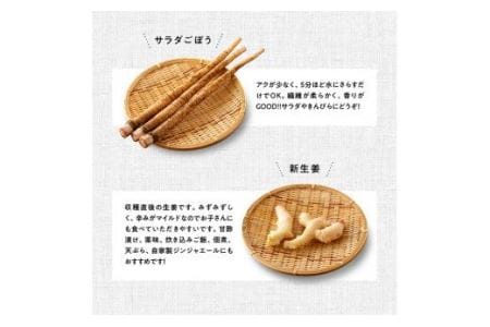 【定期便】産直おすず村 季節の野菜と果物 厳選 詰め合わせセット（小） 全4回【旬野菜 フルーツ 直売所 産地直送 宮崎県産】