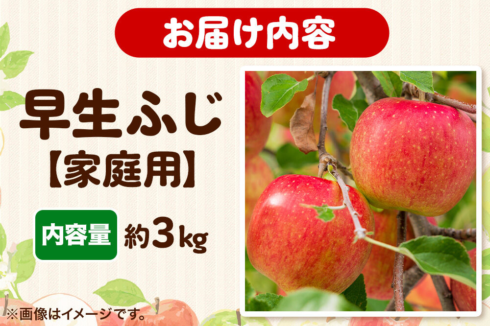 【26年10月発送】りんご【一足早くふじの味・早生ふじ】早生ふじ【家庭用】約3kg 先行受付 青森県 弘前市 果物 フルーツ 林檎 リンゴ くだもの 不揃い 規格外 [先行予約 産地直送 アップル お