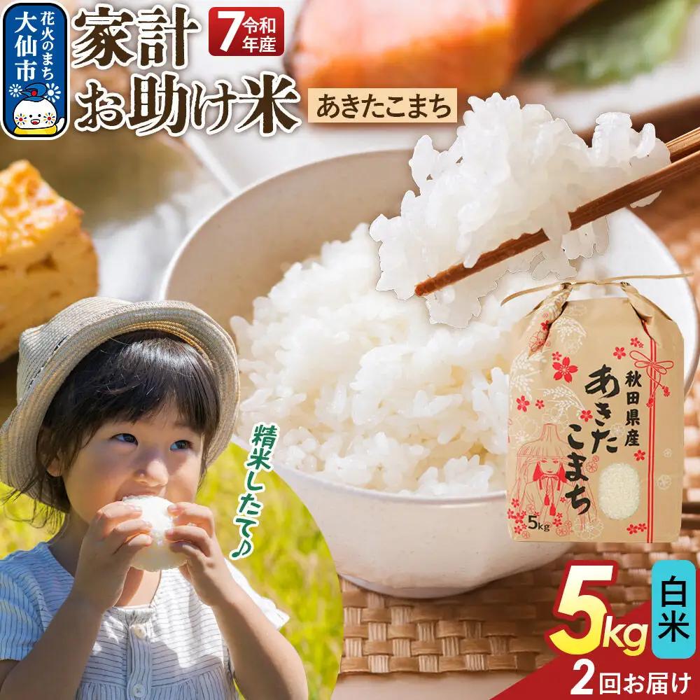 《定期便2ヶ月》【白米】家計お助け米 あきたこまち 5kg 秋田県産 令和7年産  こまちライン 秋田県 大仙市産