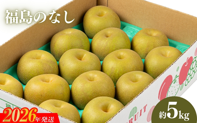 No.2043 【2025年発送分】ふくしまの梨　約５kg（幸水または豊水）