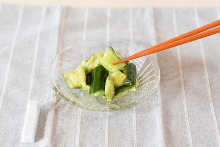 【先行予約】【期間限定】パリッと甘い魔法のきゅうり マジキュー4.5kg(約4.5kg)パリッと甘い魔法のキュウリ「マジキュー」漬物や天ぷらに！