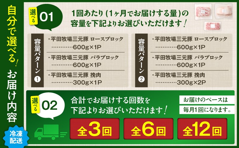 【全12回 毎月定期便】日本の米育ち平田牧場三元豚バラブロック 600g・豚ロースブロック 600g・豚挽肉 300g　T036-T14-03
