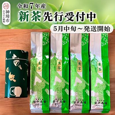 ふるさと納税 神埼市 【新茶受付中5月中旬〜発送開始】普段使いに「煎茶」200g×4本・茶缶付き (H047107)
