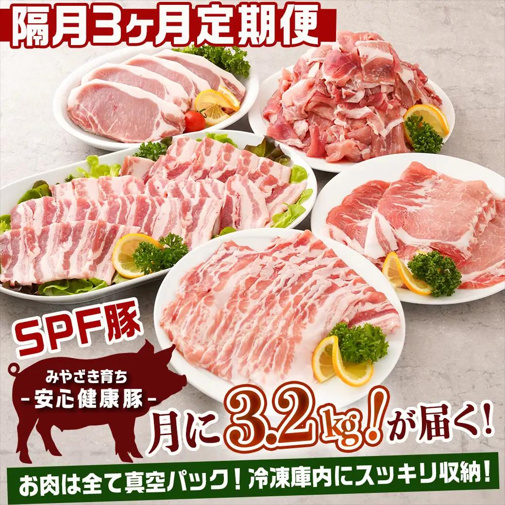 ≪隔月3回お届け≫「宮崎SPF豚」日替わりバラエティセット定期便〔T48-3-K902〕_(都城市) 宮崎県産豚 小間切れ ロース 肩ローススライス バラ ステーキ 焼肉 しゃぶしゃぶ 真空