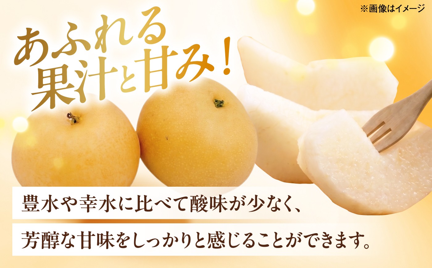 なし ナシ 和梨 果物 フルーツ 国産 甘い ジューシー 愛媛 愛媛県 四国 ふるさと納税 お取り寄せ