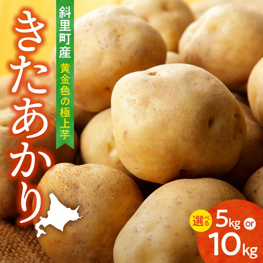 【ふるさと納税】【先行予約】知床の大自然が育む黄金色の極上芋　きたあかり【選べる容量】5kg 10kg きたあかり キタアカリ 北あかり じゃがいも 芋 ほくほく 甘み 北海道 美味しい ギフト 送料無料 【配送不可地域：離島・沖縄県】