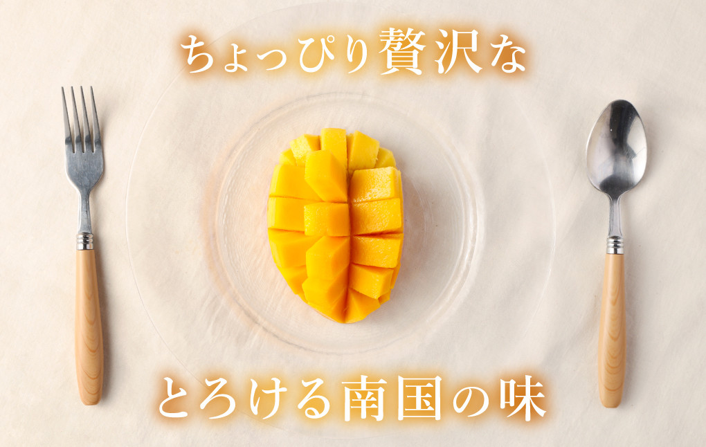 【2024年発送】【贈答用】島マンゴー園の完熟マンゴー Ａ品 1kg 