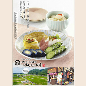 【3か月定期便】出雲漬物 季節の詰合せセット（1～3月）
