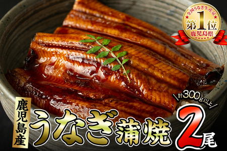 くすだ屋の極上うなぎ 2尾(150g×2)＜計300g以上＞ うなぎ 鰻 ウナギ 国産 鹿児島県産 九州産 蒲焼き 冷凍 うな重 ひつまぶし a5-266