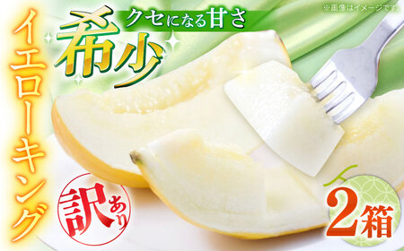 【2026年5月-発送】訳あり メロン イエローキング 2箱（1箱 3〜6玉） / メロン めろん フルーツ 果物 / 南島原市 / 南島原果物屋[SCV043]