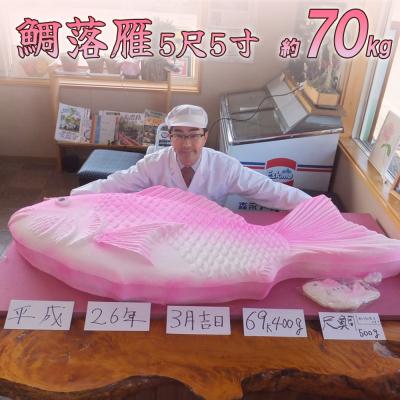 ふるさと納税 七宗町 5尺5寸の大きさの落雁 らくがん 和菓子工房　松栄堂