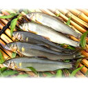 【ふるさと納税】 天然あゆ 500g 魚介類 魚 アユ 天然 高津川 塩焼き みそ焼き 天ぷら 鮎飯 冷凍 特産品 お取り寄せ グルメ