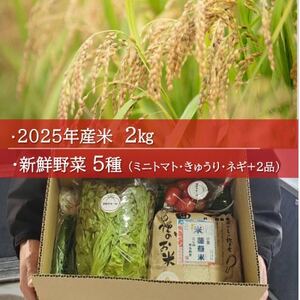 日高の郷 無洗米つきお野菜BOX(白米)【配送不可地域：離島】【1675578】
