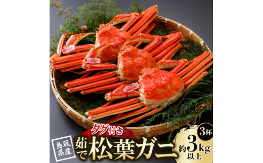 ＜先行予約＞鳥取県産 タグ付き 茹 松葉がに 1kg以上×3杯(中村商店)2027年1月末～順次発送【1692924】