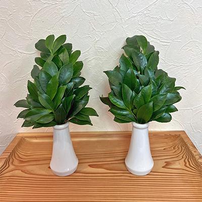 ふるさと納税 七尾市 【毎月定期便】能登乃榊 1対 (6カ月間定期配送)全6回