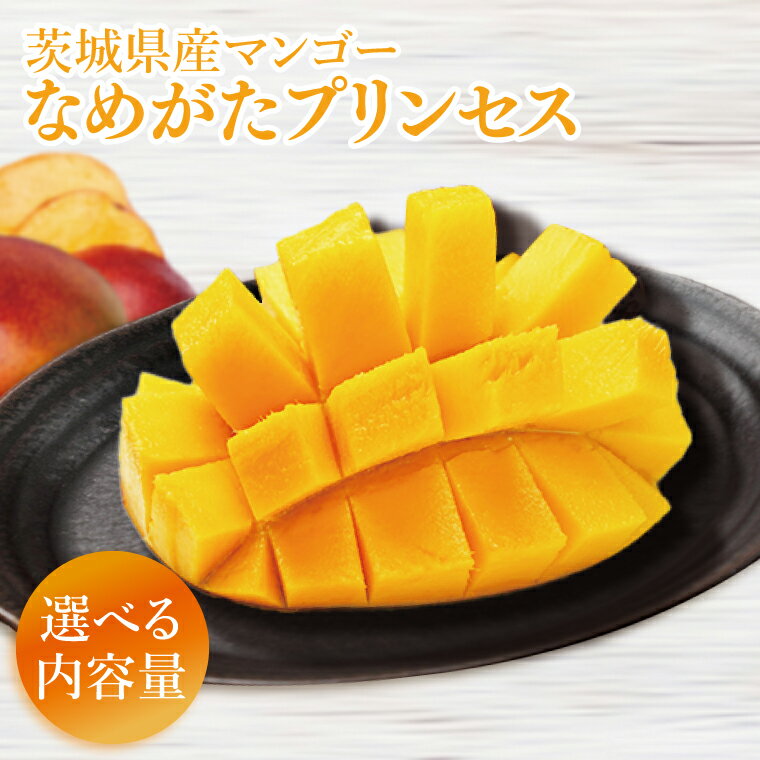 【ふるさと納税】【選べるサイズと内容量】【2026年6月下旬より順次発送】★数量限定★マンゴー なめがたプリンセス ｜マンゴー フルーツ 果物 くだもの 数量限定 先行予約 茨城県 行方市(EJ-9)