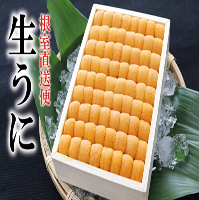 【ふるさと納税】エゾバフンウニ並べ詰め150g 選べる 1折 〜 2折 うに ウニ 雲丹 バフンウニ エゾバフンうに 海鮮 折詰 折り詰め 折詰め 北海道 根室市