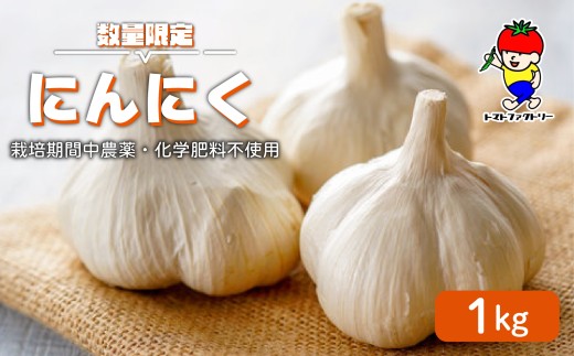 【期間限定】 にんにく 1kg トマトファクトリー 栽培期間中 農薬 化学肥料不使用 ニンニク 大蒜 乾燥 不揃い 正規品 おまかせ 野菜セット 季節 甘い 糖度 食材 旬 素揚げ から揚げ ペペロンチーノ フライドにんにく ガーリック 栽培 産地直送 農家直送 農家応援 滋賀県 日野町 ふるさと納税 送料無料