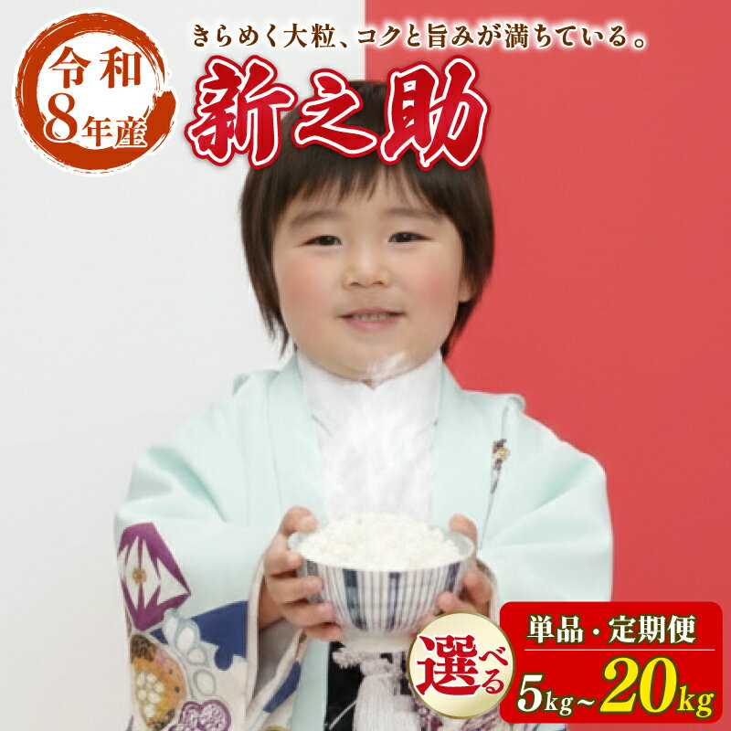 【ふるさと納税】 先行予約 令和8年産 受付開始！ 新之助 新潟県産 5kg 10kg しんのすけ 白米 米 国産 環境こだわり おこめ お米 ご飯 ごはん オニギリ お弁当 kome 送料無料 数量限定 農家直送 産地直送 国産 川瀬農園 四代目 悠助 新潟 新発田 kwsSS001P
